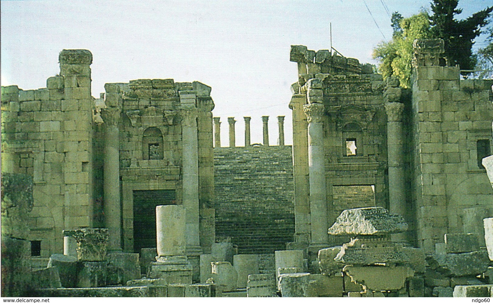 Jordanie - Jerash - Jordan