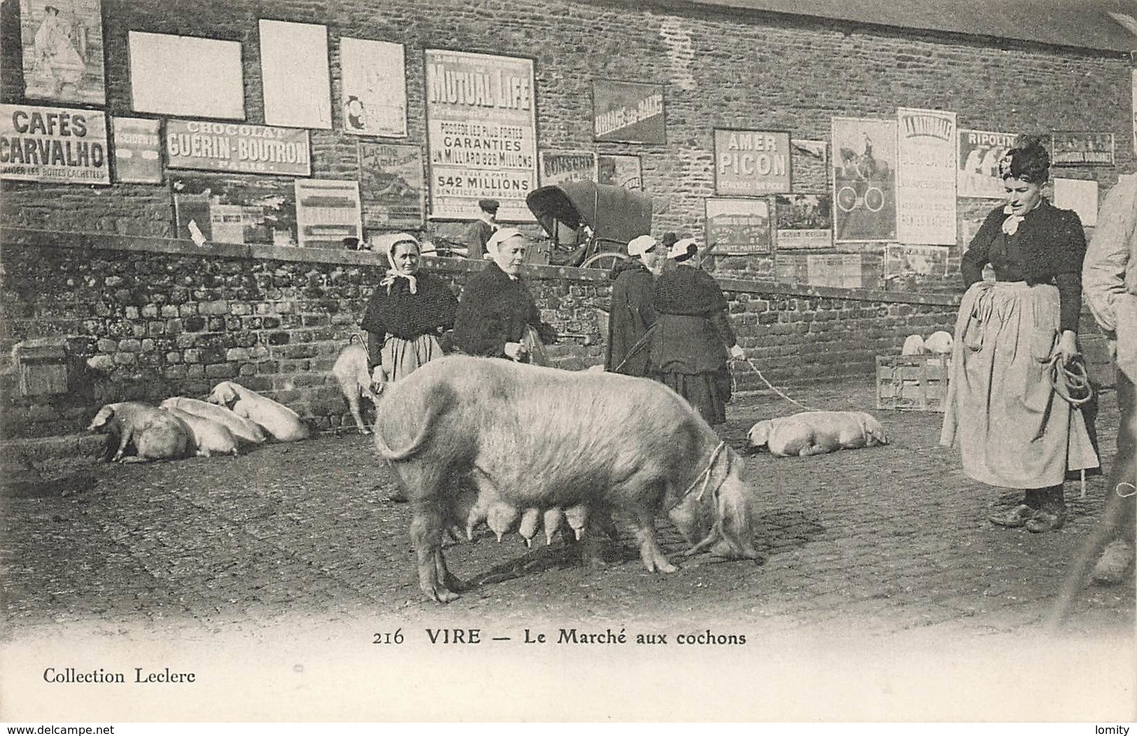 14 Vire Le Marché Aux Cochons Cochon Truie Cpa Carte Animée - Vire