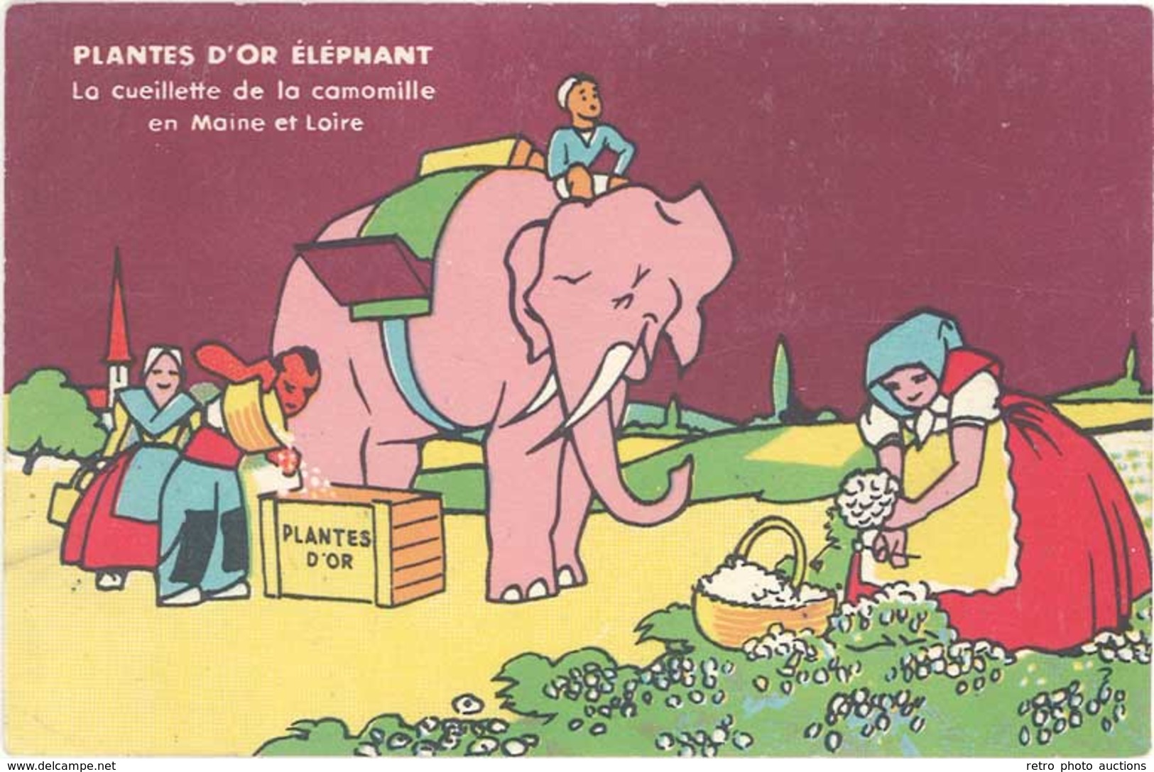 B Plantes D’Or Eléphant, Cueillette De La Camomille - Publicité