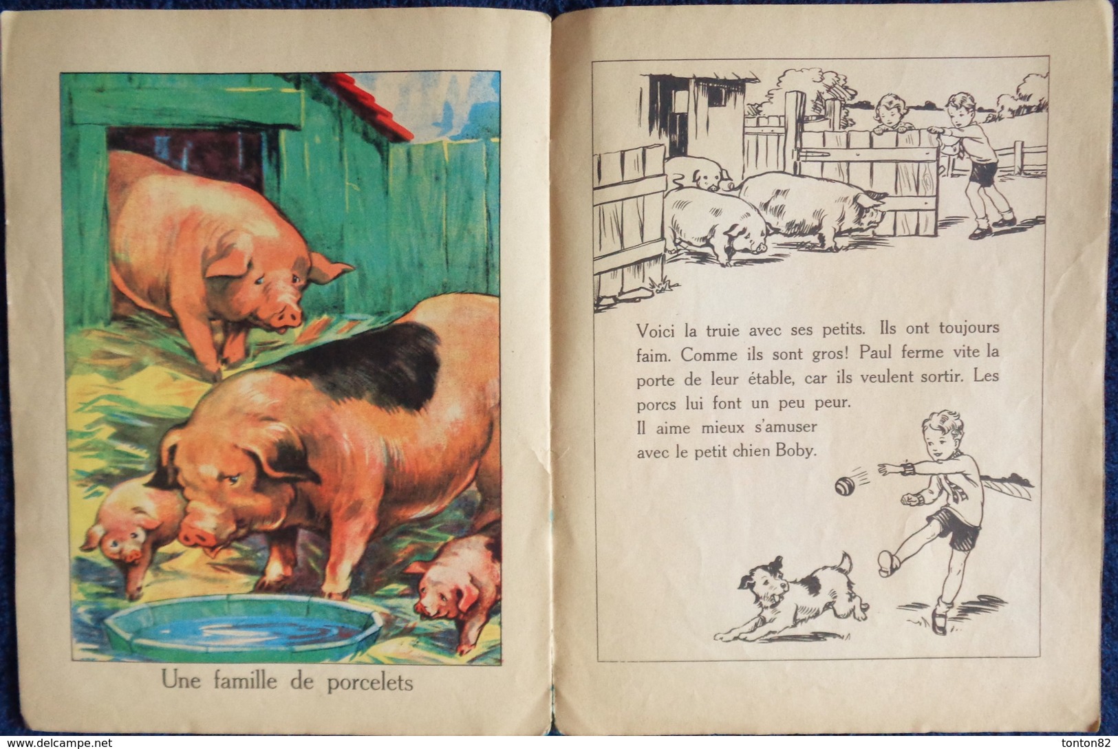 Mon Livre D' ANIMAUX - Éditions BIAS - ( 1951 ) . - Autres & Non Classés