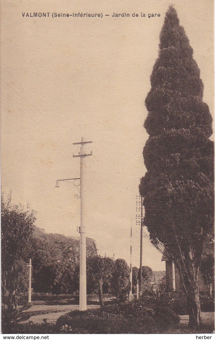 VALMONT (Seine-Inférieure) - 1910-1920 - Le Vivier - Jardin De La Gare - Station Statie - Valmont