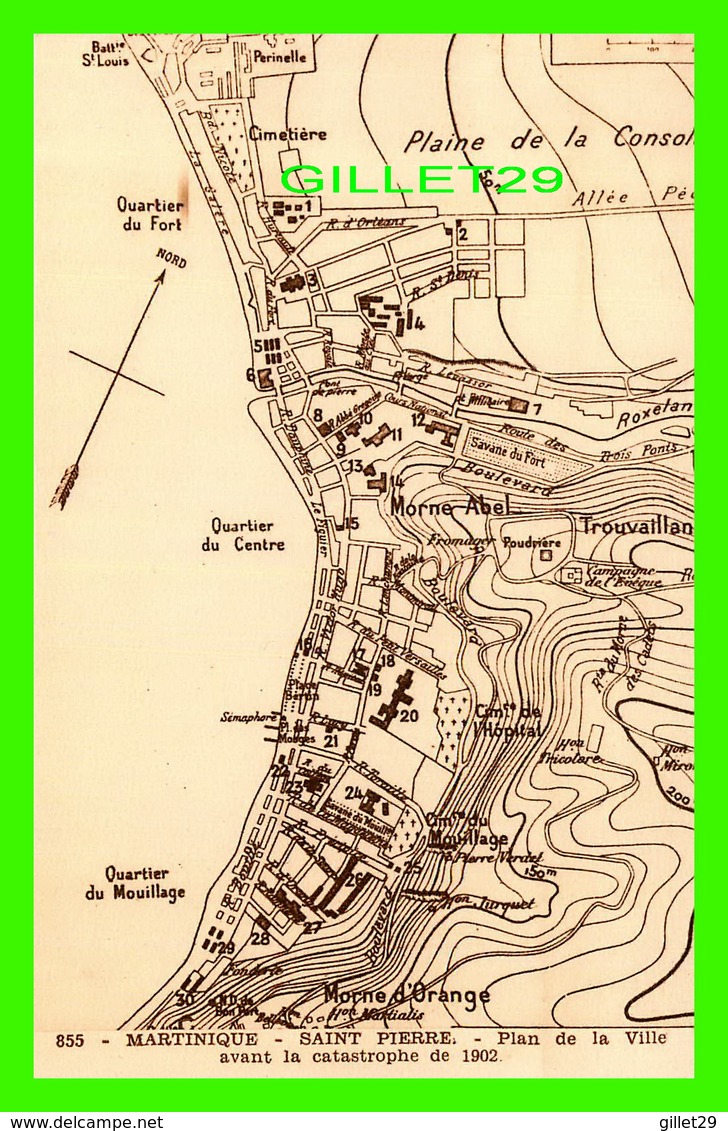 MARTINIQUE- SAINT-PIERRE - PLAN DE LA VILLE AVANT LA CATASTROPHE DE 1902 - MAP - COLLECTION BENOIT JEANNETTE - - Autres & Non Classés