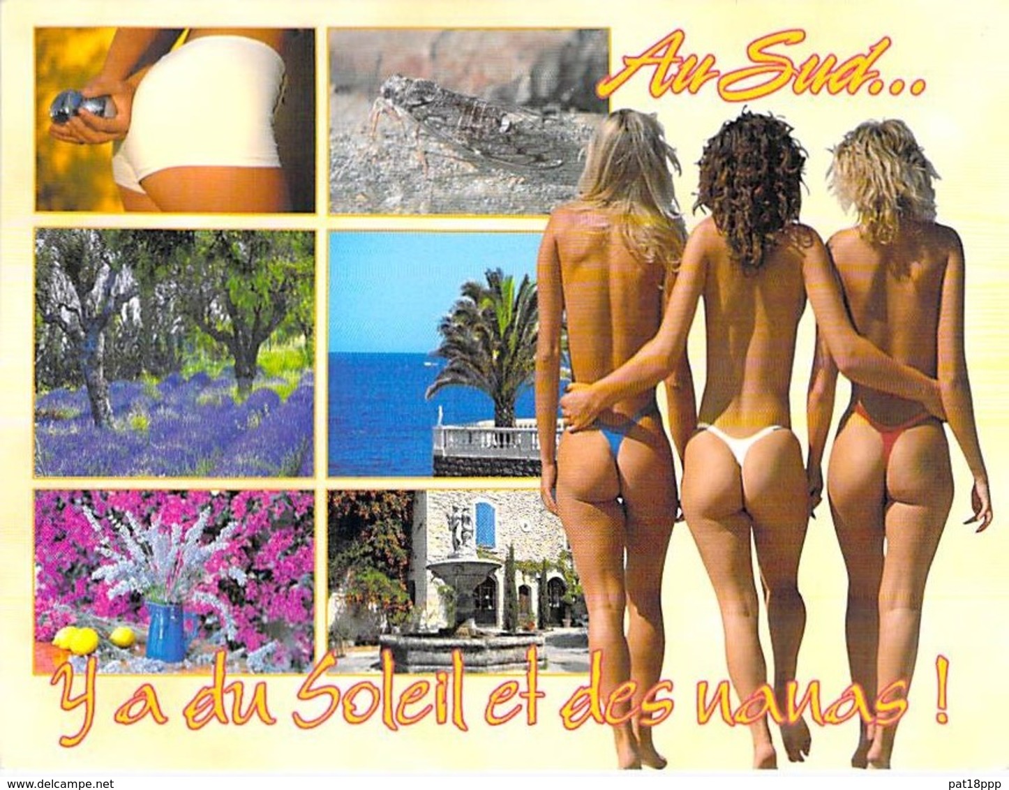 PIN UP - FRANCE 80/90's - Multivues AU SUD ... Il Y A Du Soleil Et Des Nanas ... CPM GF - Sexy Nude Seins Nus Ou Bikini - Pin-Ups