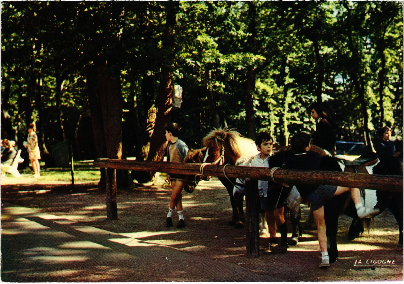 LE HAVRE (76) En Forêt De Montgeon - Le Coin équestre - Rare - Carte Postée En 1976 - Forêt De Montgeon