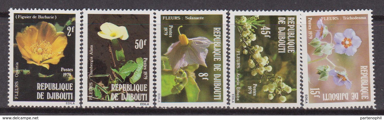 Gibuti - Dijbouti 1981 ** FIORI FLOWERS FLORA FIORI Blossoms - Gibuti (1977-...)