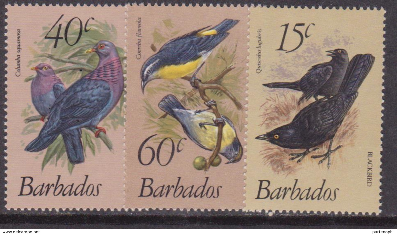 Barbados -  Uccelli Birds Set MNH - Barbados (1966-...)