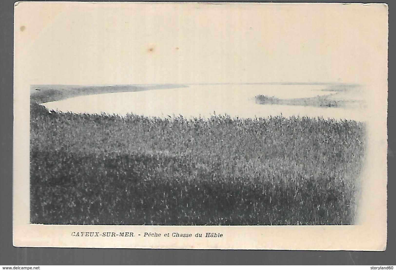 Cpa 8020081 Cayeux Sur Mer Pêche Et Chasse Du Hable - Cayeux Sur Mer