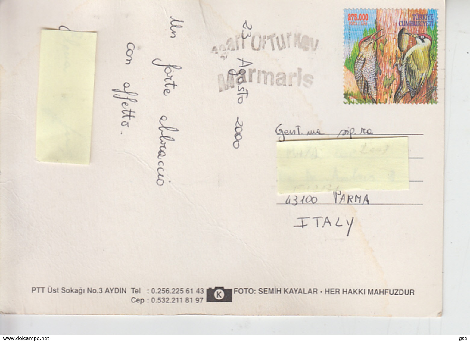 TURCHIA 2000 - Unificato 2978 - Uccelli - Storia Postale