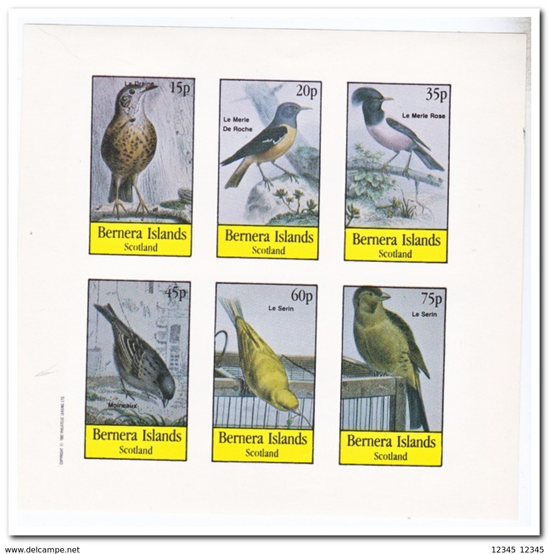 Bernera Islands 1982, Postfris MNH, Birds - Schotland