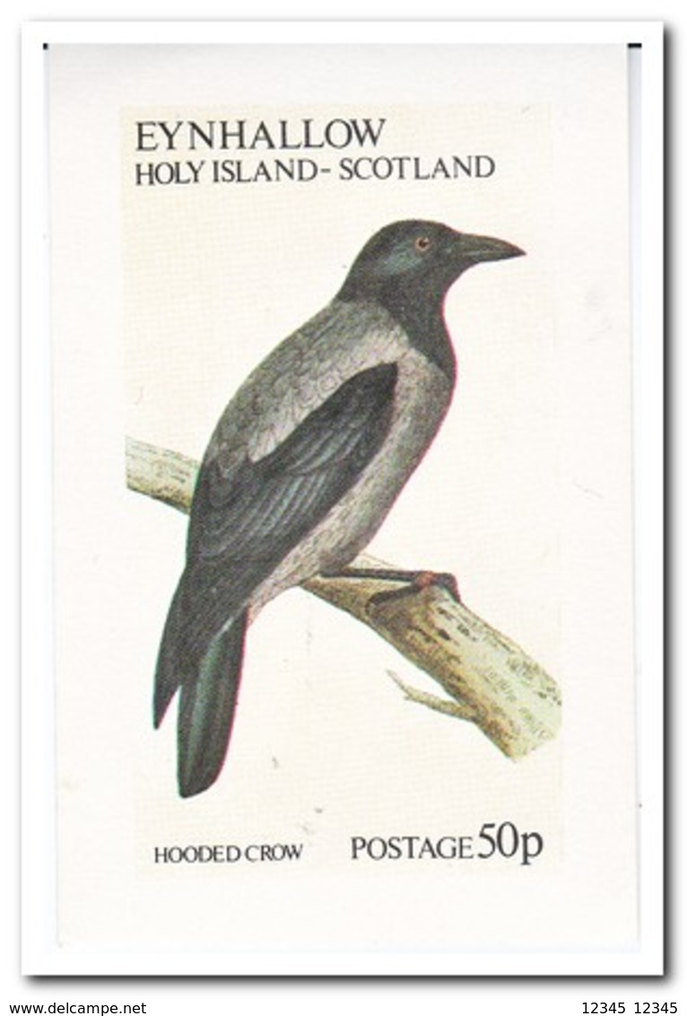 Eynhallow, Postfris MNH, Birds - Schotland
