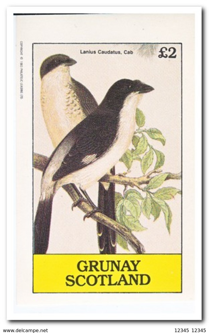 Grunay, Postfris MNH, Birds - Schotland