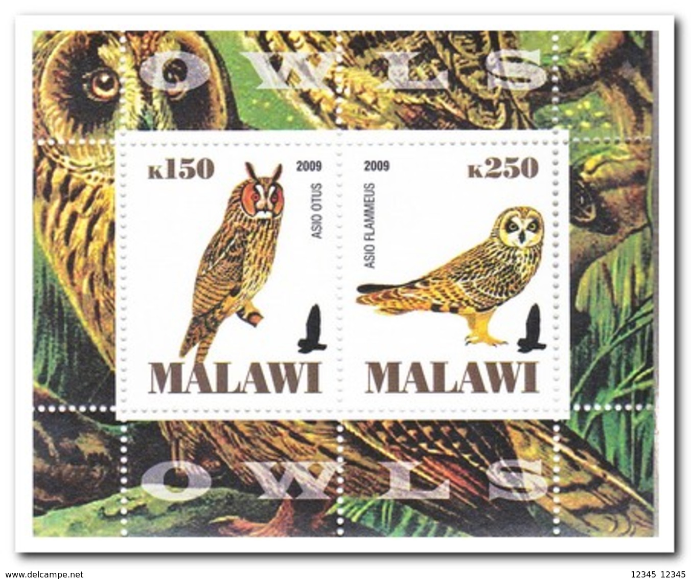 Malawi 2009, Postfris MNH, Birds, Owls - Malawi (1964-...)