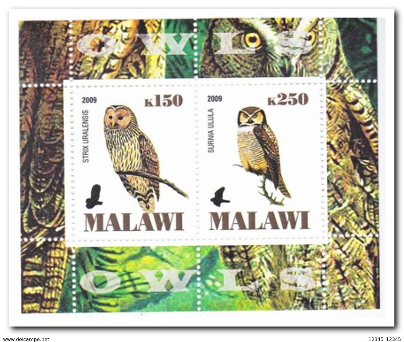 Malawi 2009, Postfris MNH, Birds, Owls - Malawi (1964-...)