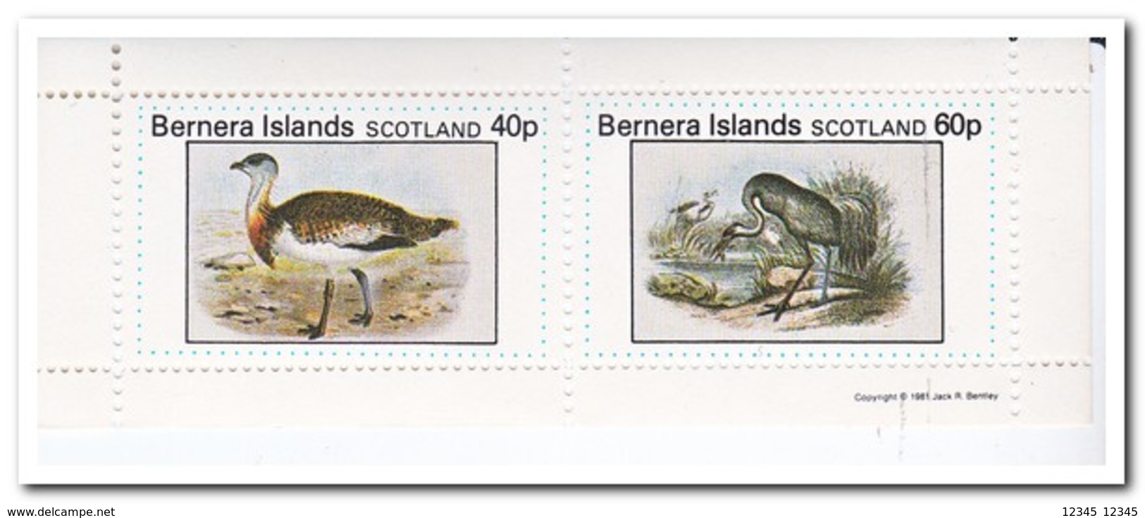 Bernera Islands 1981, Postfris MNH, Birds - Schotland