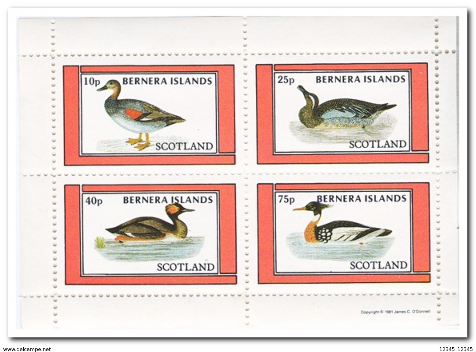 Bernera Islands 1981, Postfris MNH, Birds - Schotland