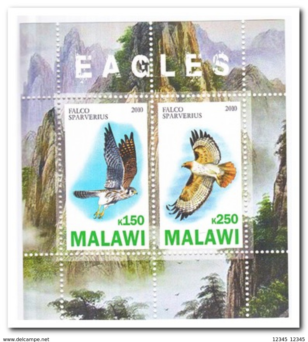 Malawi 2010, Postfris MNH, Birds Of Prey - Malawi (1964-...)
