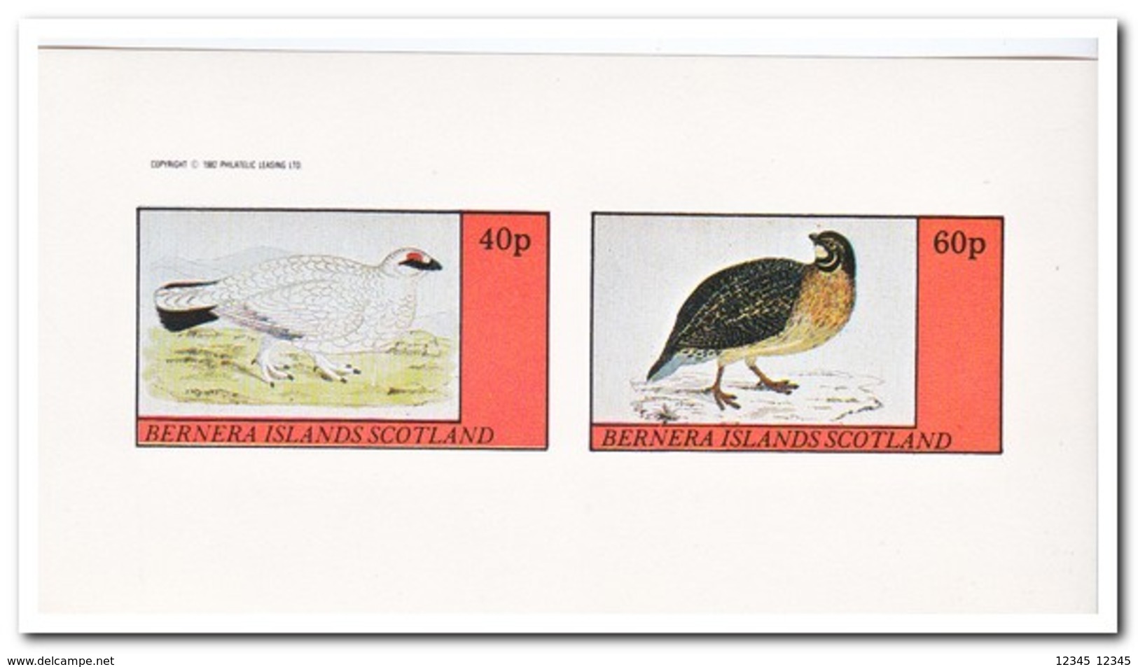 Bernera Islands 1982, Postfris MNH, Birds - Schotland