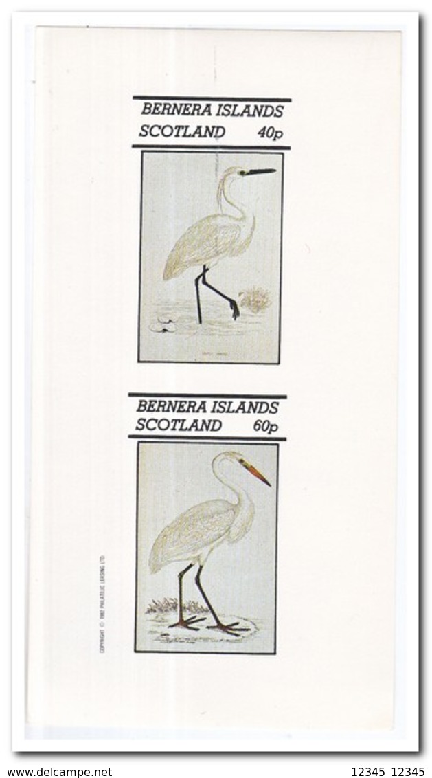 Bernera Islands 1982, Postfris MNH, Birds - Schotland