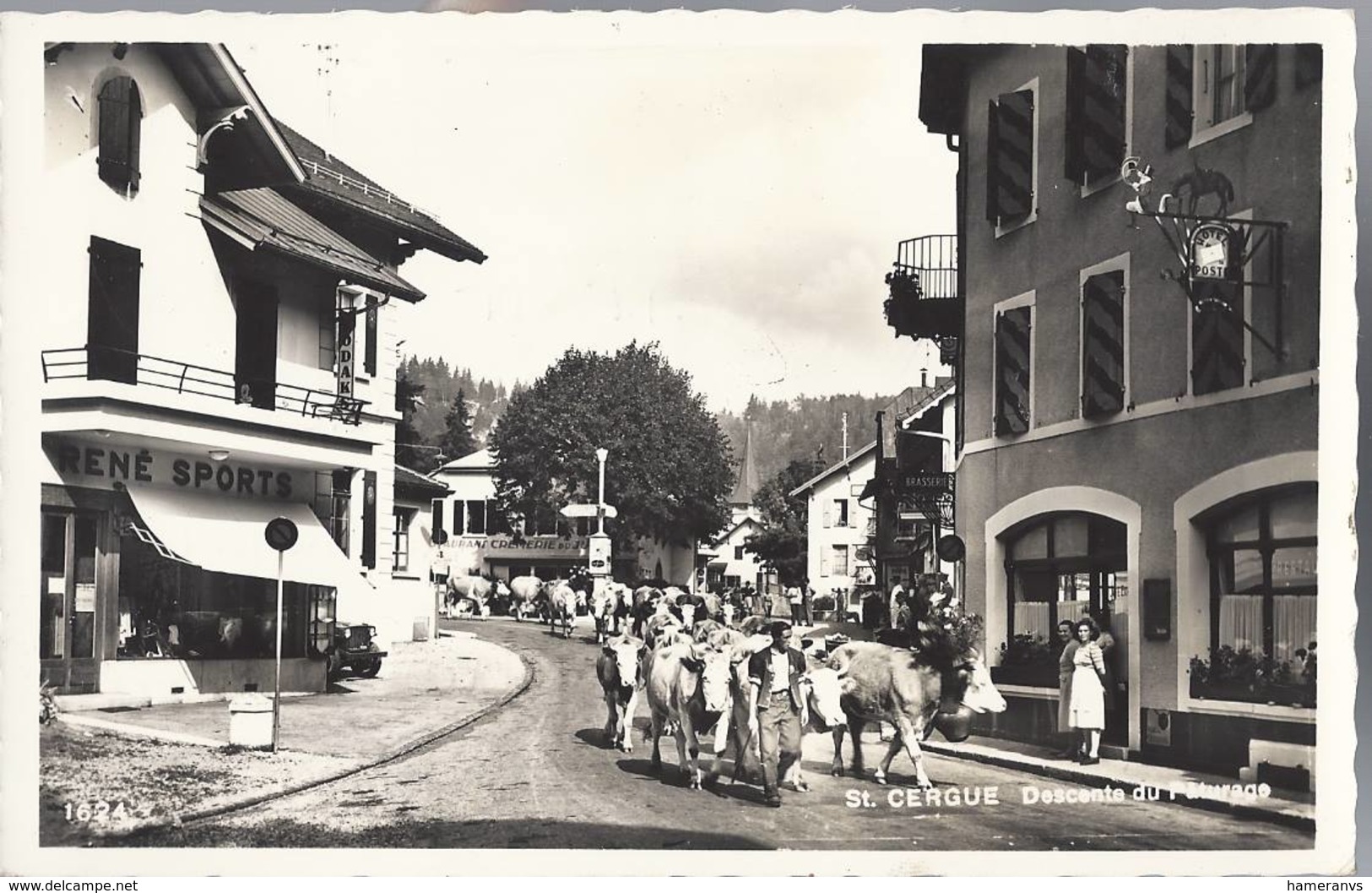 Saint-Cergue - Descente Du Paturage - Arzier-Le Muids - Gingins - Givrins - Trèlex - HP1555 - Arzier-Le Muids