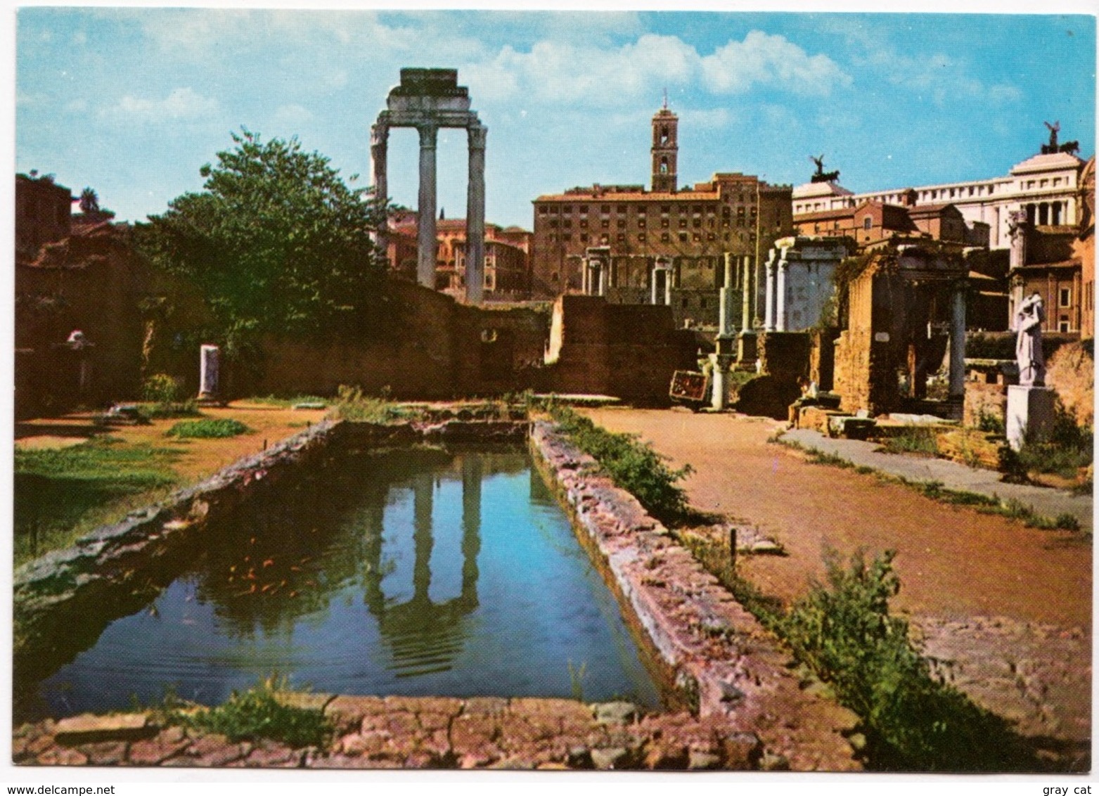 ROMA, ROME, Foro Romano, Roman Forum, Unused Postcard [23169] - Other Monuments & Buildings