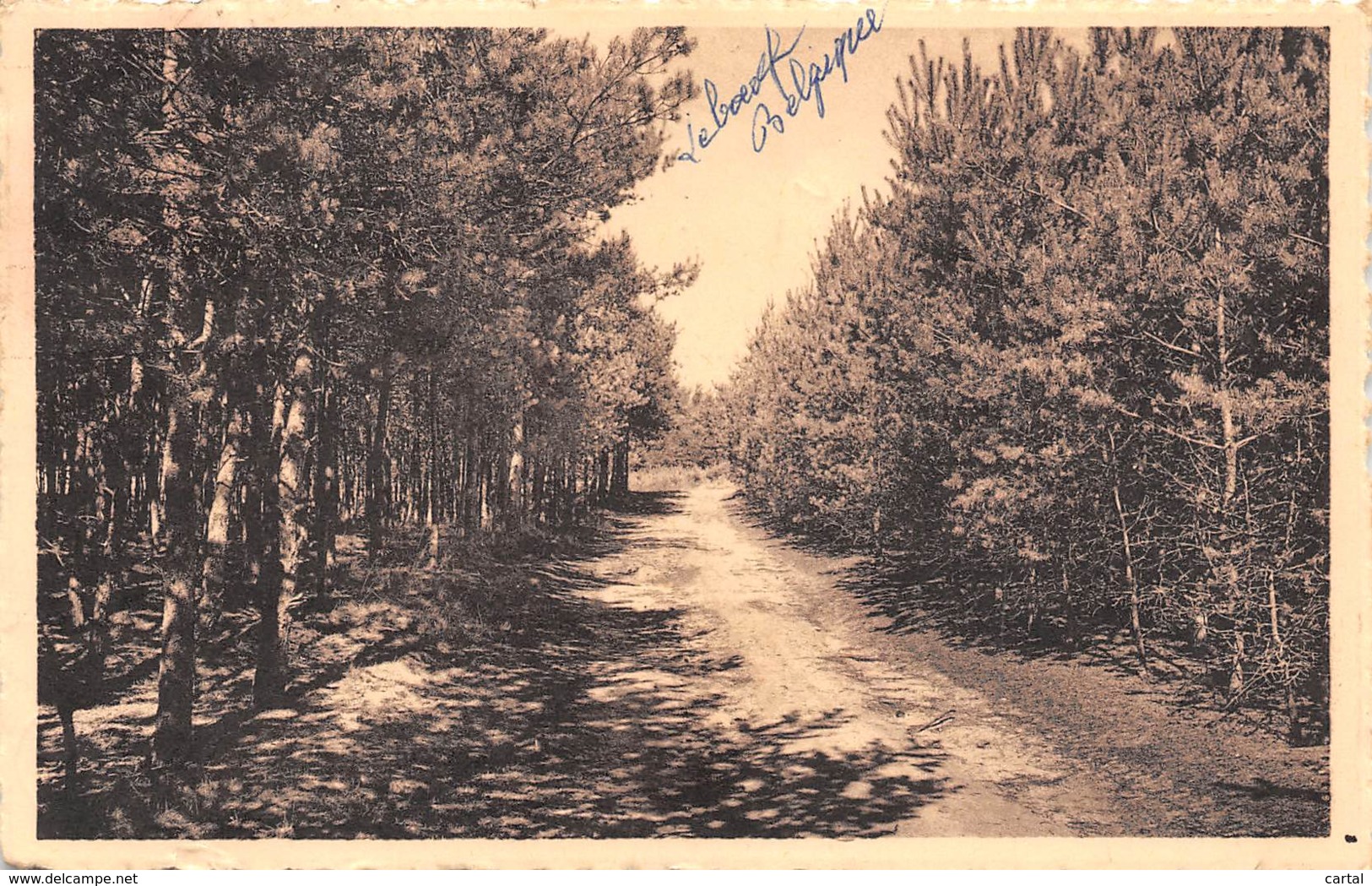 CHAUMONT-GISTOUX - Chemin Du Sous-Bois - Chaumont-Gistoux