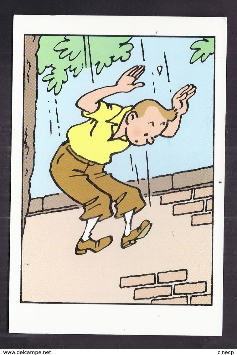 CPSM TINTIN ET MILOU - Les Cigares Du Pharaon - HERGE - Hergé - TB DESSIN - Editions Hazan - Hergé