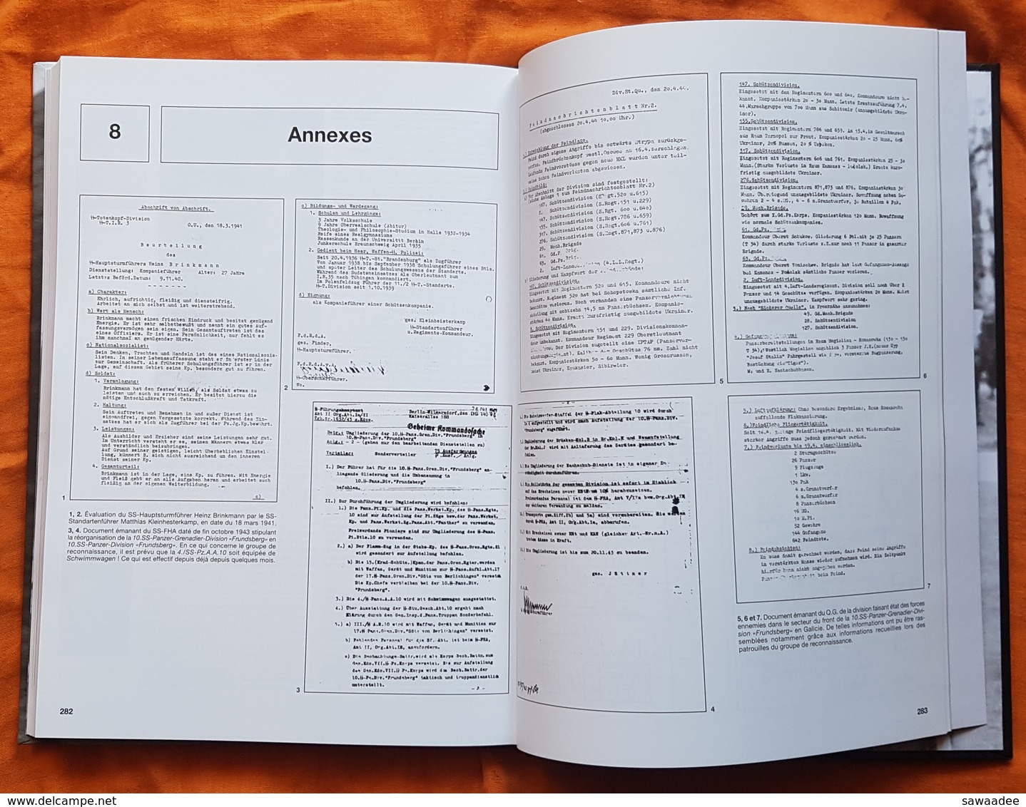 LIVRE - CHRONIQUE DE LA SS Pz AA10 - S. CAZENAVE - ED. HEIMDAL - 2° GUERRE MONDIALE - ARMEE ALLEMANDE- BIOGRAPHIE - Français