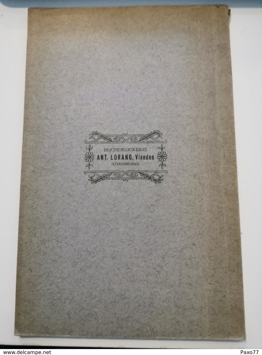 Livre, Vianden, Die Perle Des Malerischen Und Hisrischen Luxembourg Landes Von Theodor Bassing, 84 Pages - Autres & Non Classés