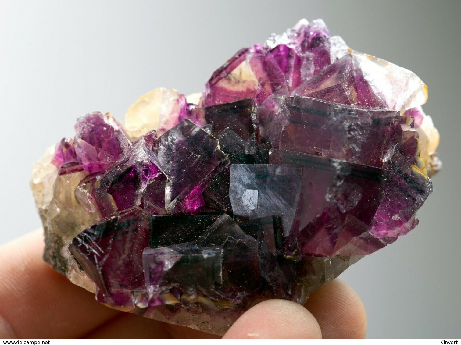 Fluorite Mauve Et Jaune Avec Zonage De La Mine Okorusu, Namibie. 148 Gr. 7,1 X 4,8 X 4,2 - Mineralien