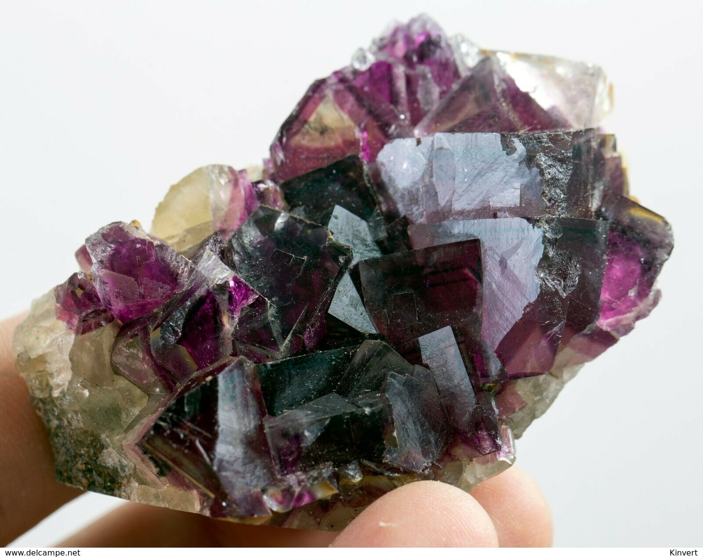 Fluorite Mauve Et Jaune Avec Zonage De La Mine Okorusu, Namibie. 148 Gr. 7,1 X 4,8 X 4,2 - Mineralien