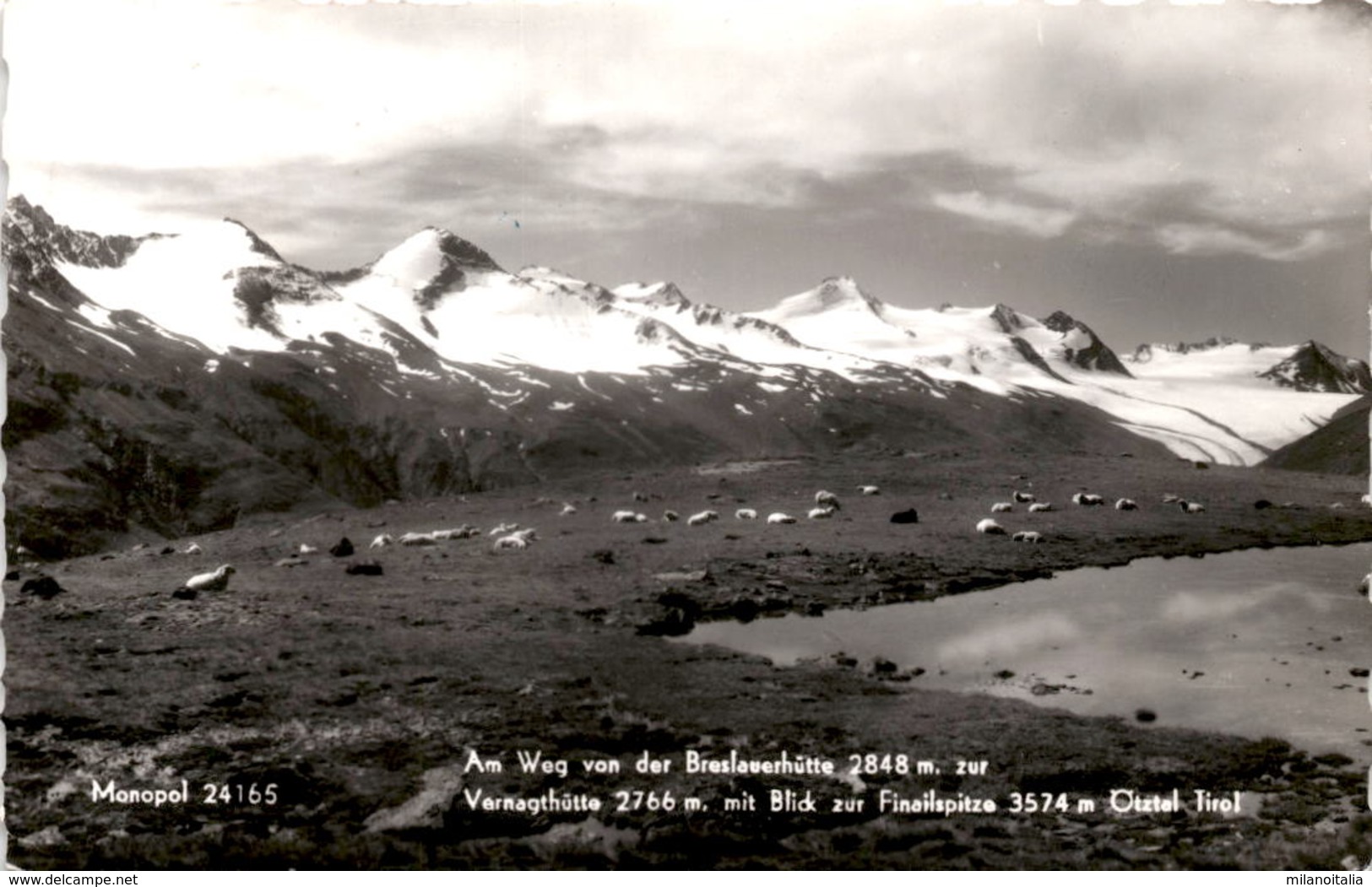 Am Weg Von Der Breslauerhütte Zur Vernagthütte Mit Blick Zur Finailspitze, Ötztal, Tirol (24165) * 24. 8. 1963 - Sölden