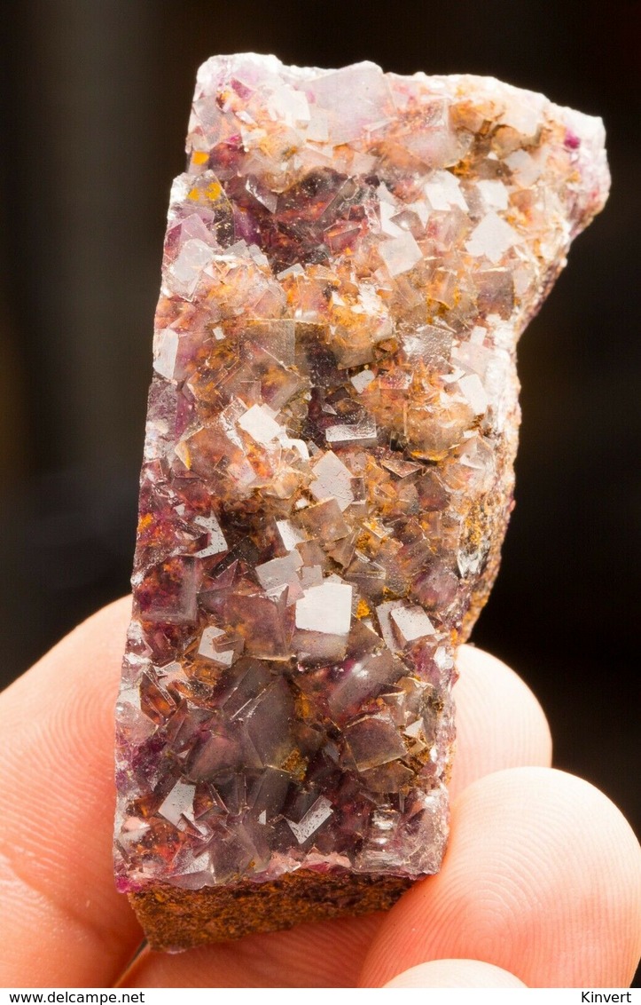 Fluorine Jaune Et Mauve De La Mine Okorusu, Namibie. 60 Gr. 5,5 X 2,7 X 2,3 Cm - Mineralien