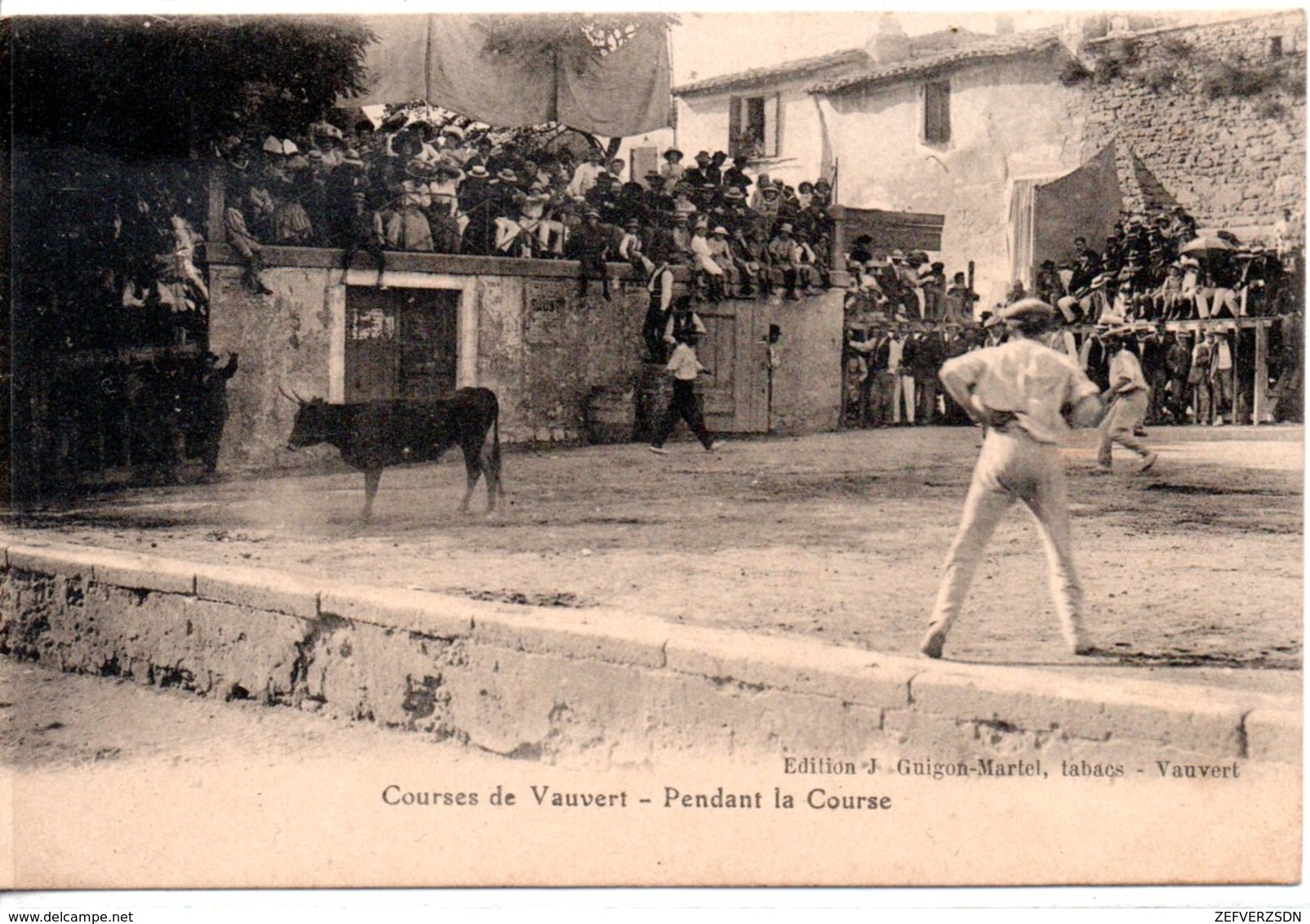 30 VAUVERT TAUREAU TAUREAUX COURSE CAMARGUE FETE GARD - Autres & Non Classés