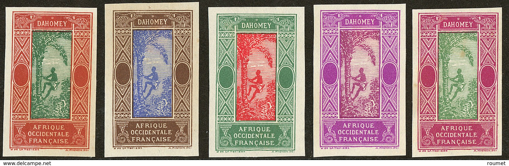 (*) Dahomey. Type N°43, Cinq Bicolores Différents. - TB - Andere & Zonder Classificatie