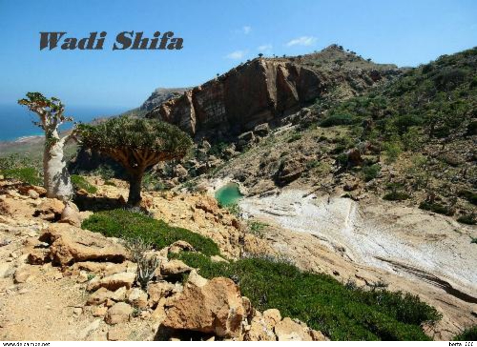 Socotra Island UNESCO Wadi Shifa Yemen New Postcard Sokotra Insel AK - Jemen