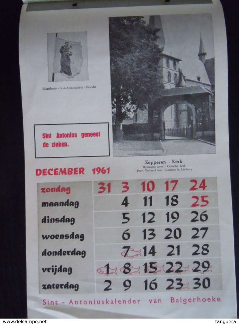 Belgie 1961 Sint-Antonius-kalender Van Balgerhoeke Form. 17,3 X 27,8 Cm - Grand Format : 1961-70