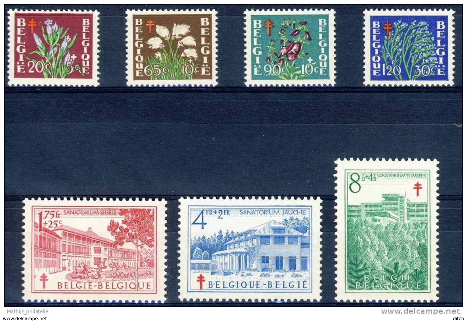 D - [DEL-043-2]TB//-c:54e-N° 834/40, Antituberculeux, Fleurs Diverses, Sanatorium, La Série Neuf ** TB. Cote 54 Eur - Unused Stamps