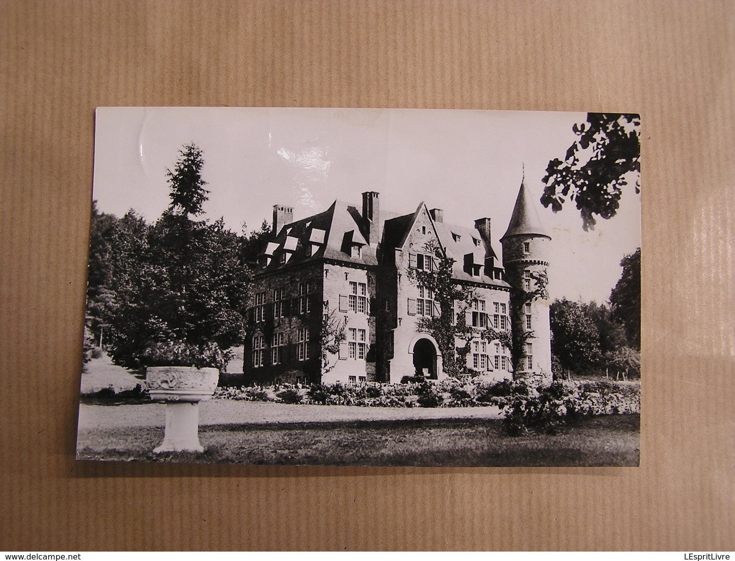 RESTEIGNE SUR LESSE  Le Château De Cruckay Province Luxembourg Carte Postale Postkaart - Tellin