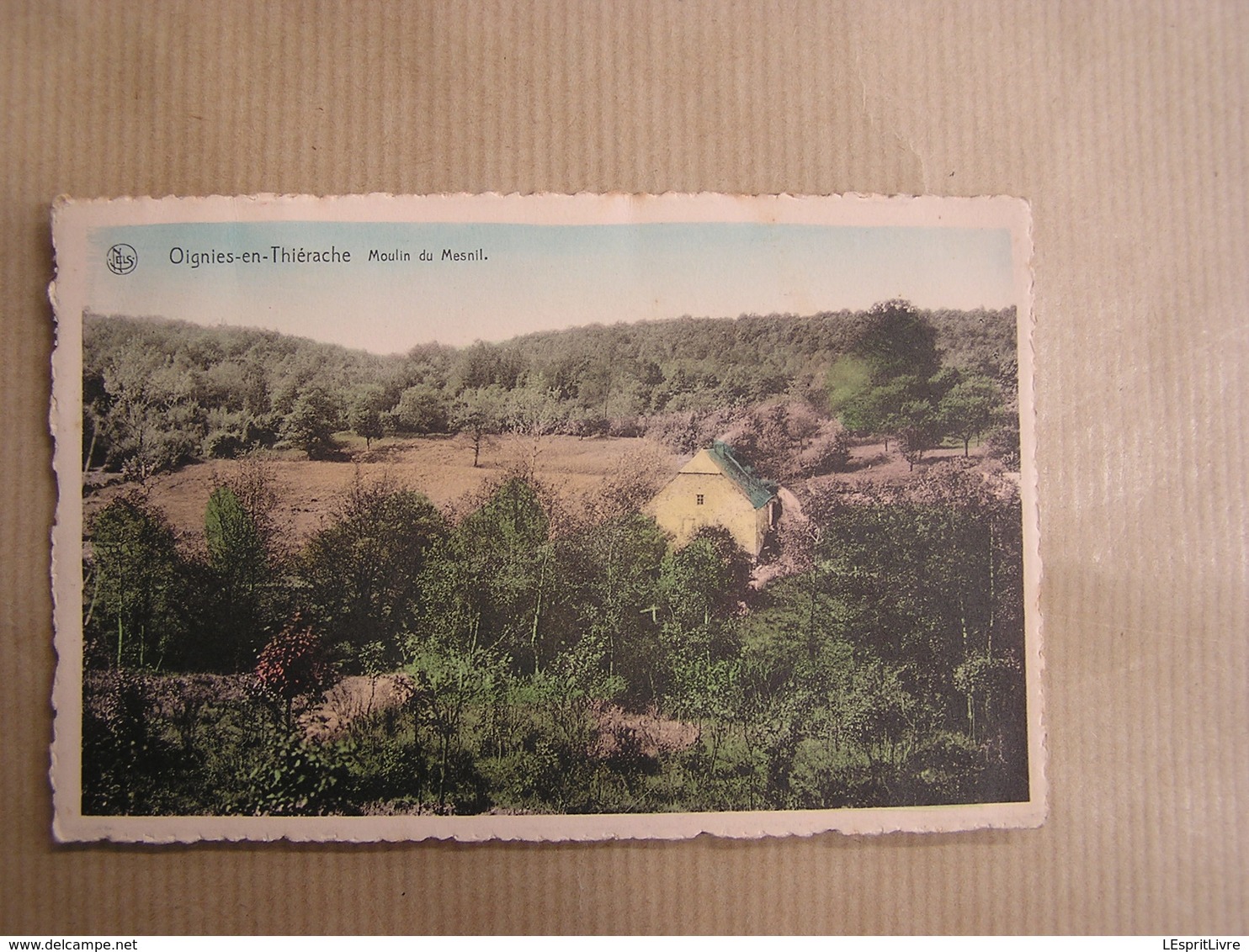 OIGNIES EN THIERACHE Moulin Du Mesnil  Province Namur Carte Postale Postkaart - Viroinval