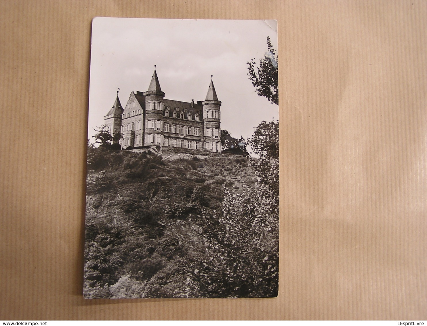 CIERGNON Le Château Royal Province De Namur Commune De Houyet Belgique Carte Postale - Houyet