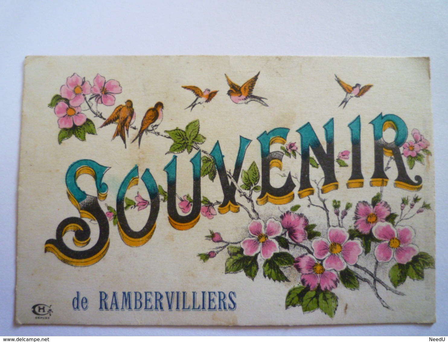 GP 2019 - 1154  RAMBERVILLIERS  (Vosges)  :  "Souvenir De Rambervilliers"   1918   XXX - Rambervillers