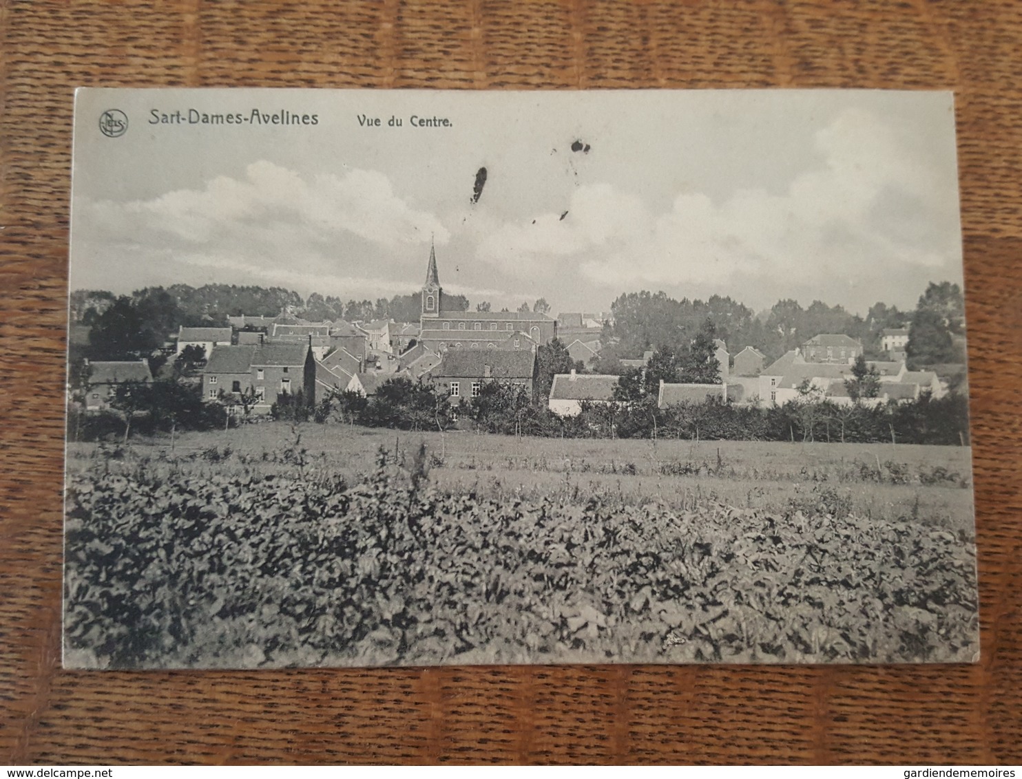 Sart Dames Avelines - Vue Du Centre - Nels éditeur - Villers-la-Ville