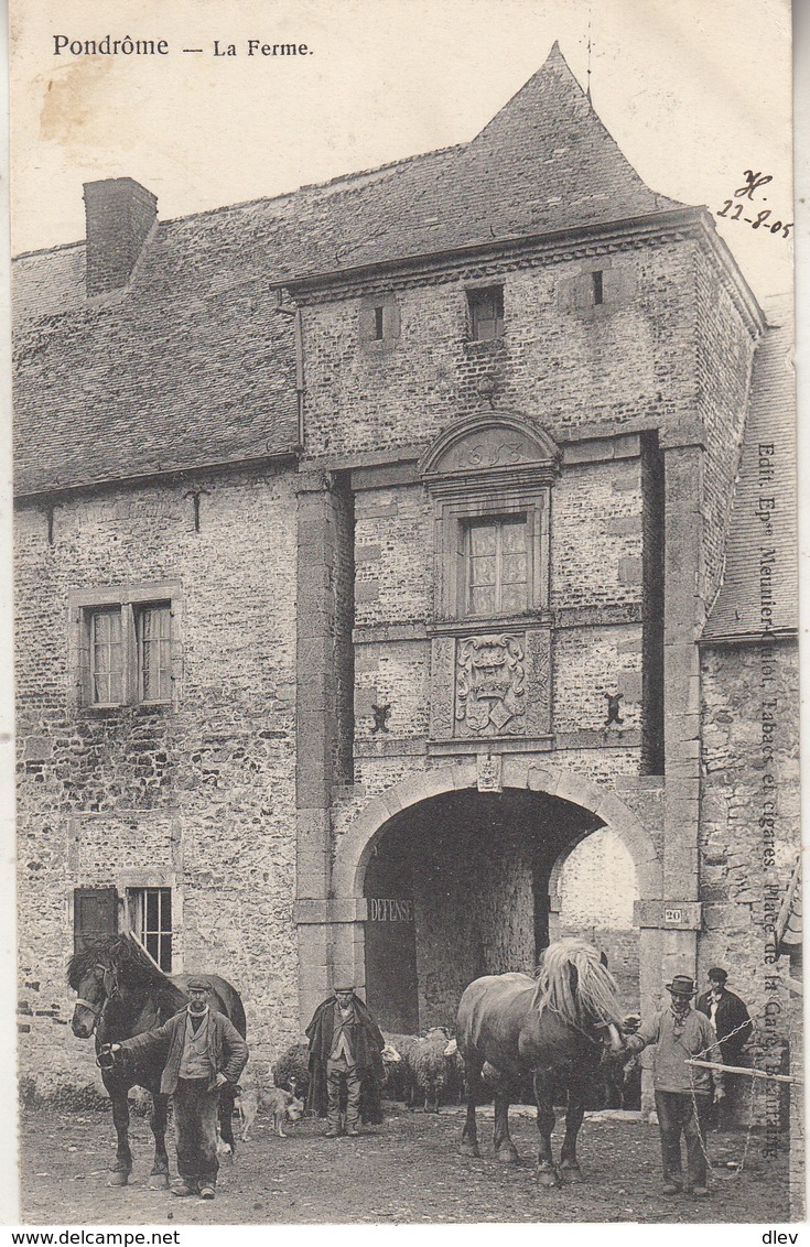 Pondrôme - La Ferme - Animé - 1905 - Beauraing