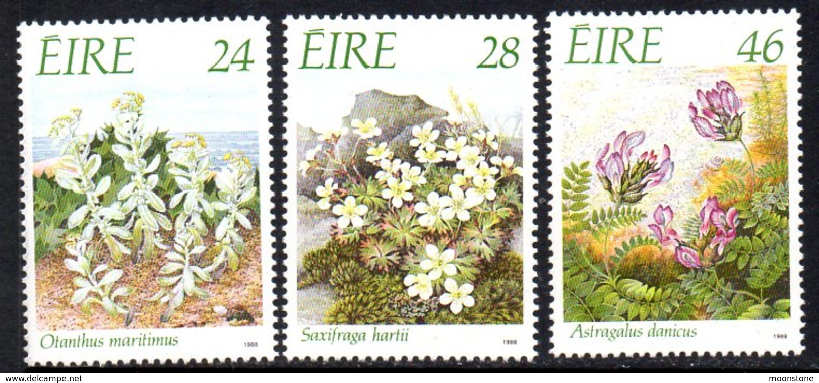 Ireland 1988 Endangered Flora Set Of 3, MNH, SG 698/700 - Neufs
