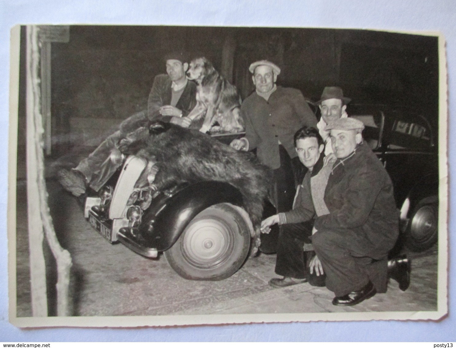 CHASSE - Marseille - ALLAUCH (13) - Photo Originale Groupe De Chasseurs Avec Jeune Sanglier Sur La Voiture...  TBE - Altri & Non Classificati