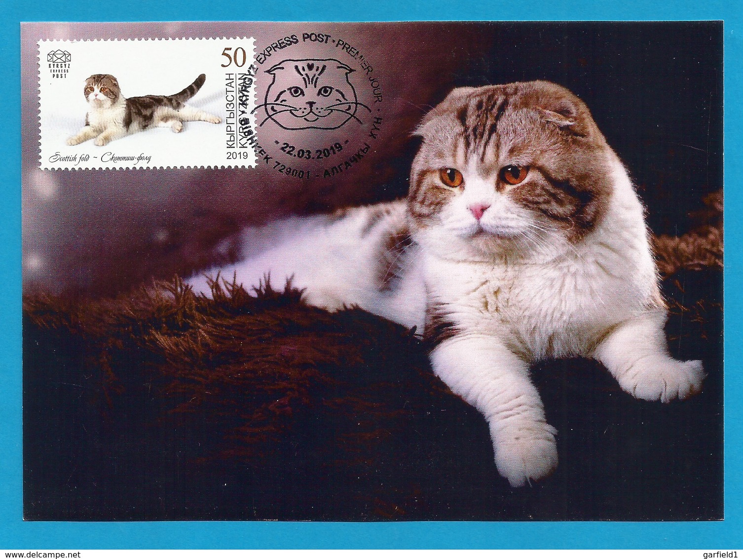 Kirgisistan 2019 , Domestic Cats - Maximum Cards 44/46 - First Day 14.03.2019 - Kirgisistan