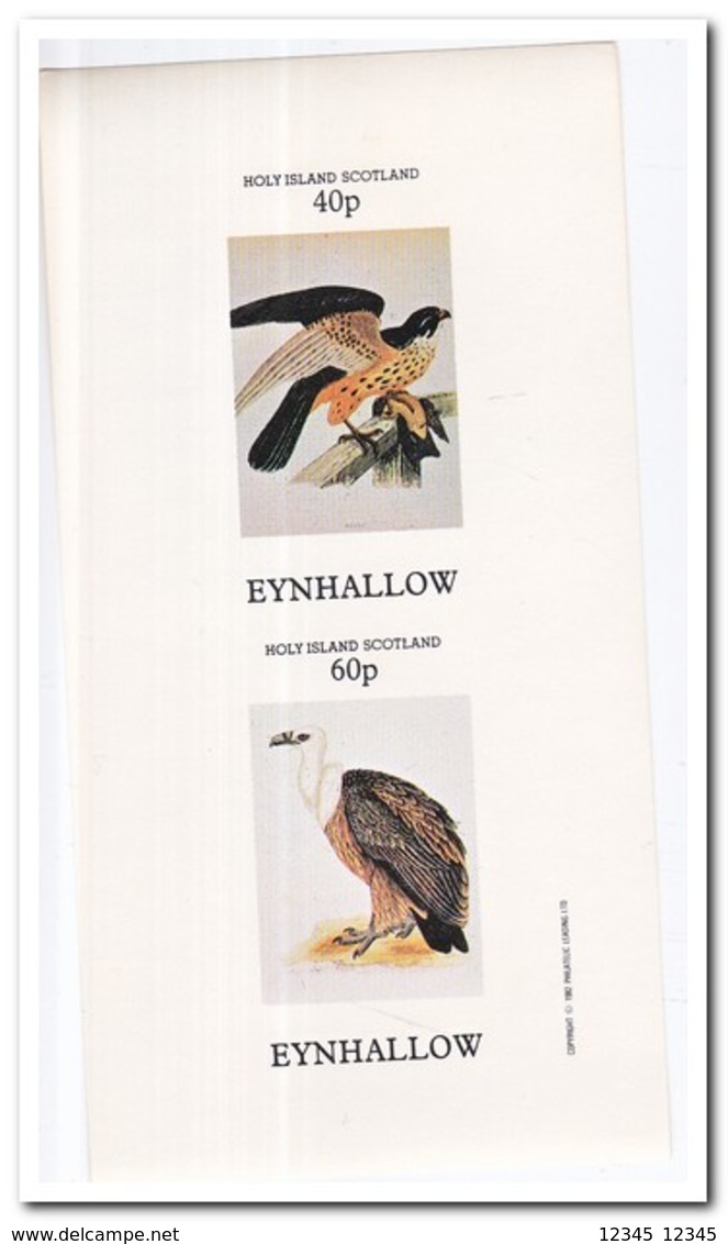 Eynhallow 1982, Postfris MNH, Birds Of Prey - Schotland