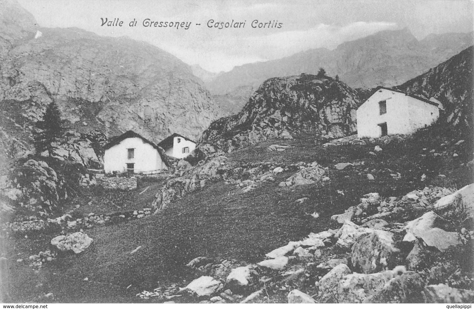 D9269 "VALLE DI GRESSONEY - CASOLARI CORTIS" CART NON  SPED - Altri & Non Classificati