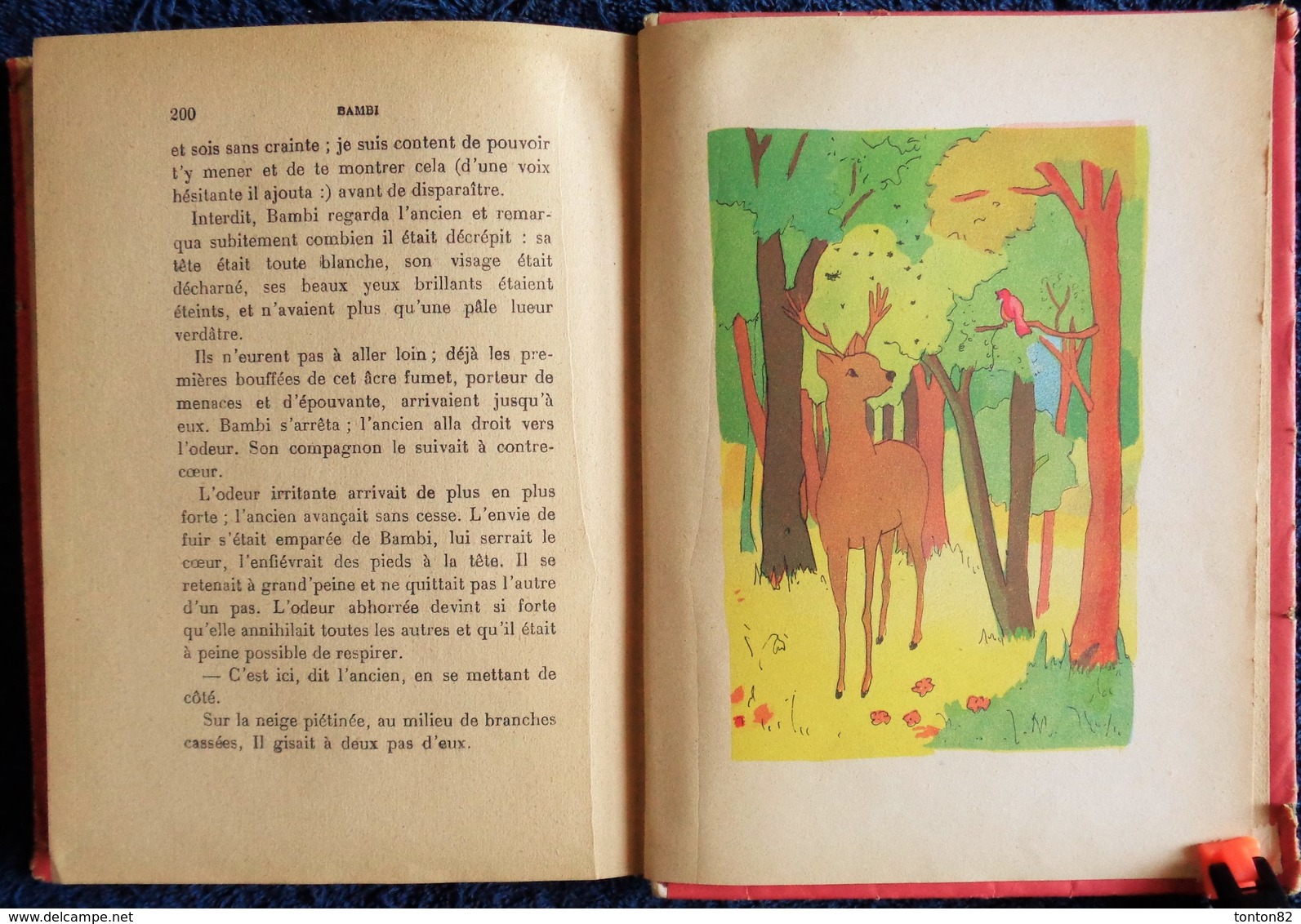 Félix Salten - BAMBI le Chevreuil - ( Une vie dans les bois ) - Éditions STOCK / Collection MAÏA - ( 1946 ) .