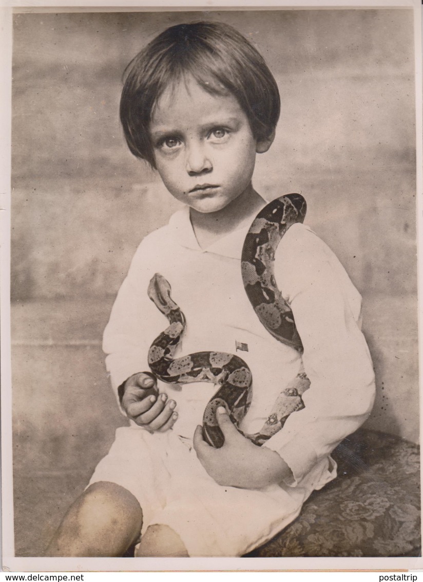 NACIONAL MUSEUW WASHINGTON DC TICHARD G PAINE REPTILES BOA CONSTRICTOR 1921   20 * 15 CM Fonds Victor FORBIN 1864-1947 - Sin Clasificación